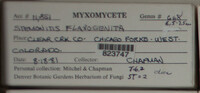 Image Associated With the Occurence